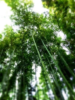 �Ō�ɁB�B�B