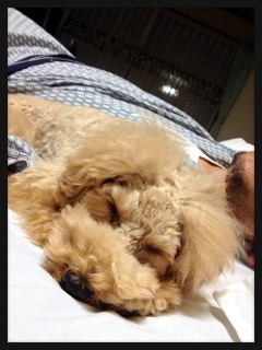 �l���l�����[�h�B