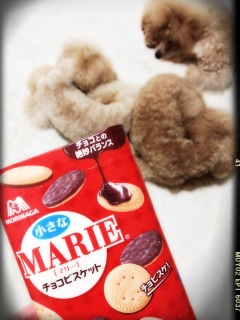 �ӂ��[�B
