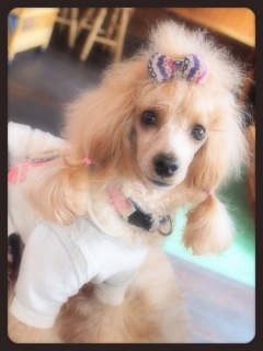 ������т����す