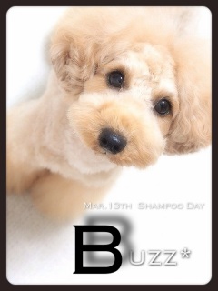 ��T�́B�B�B