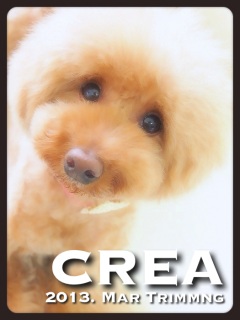 �R����������*�N���A�ҁB