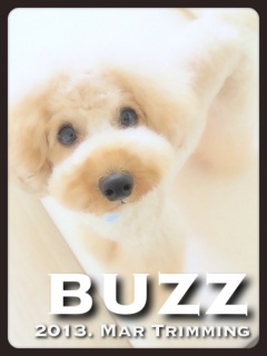 �R����������*�o�Y�ҁB