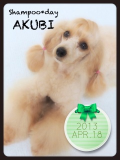 �钆�ɁB�B�B