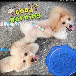 �����́B�B�B