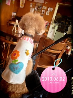 �P��́B�B�B