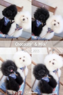 �J���C�R����񂸁B