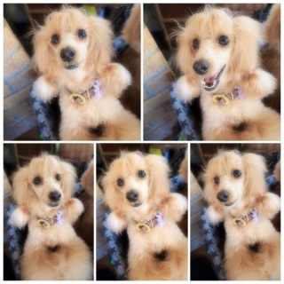 �ܕω�������т����す