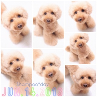 �N���V������
