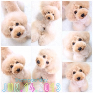 �o�Y�V������