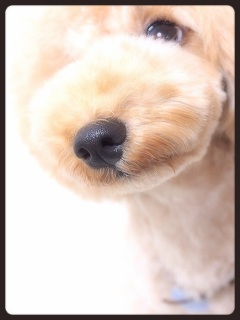 ���@♡
