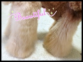 ���ݑ�♡