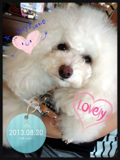 �݂�݂�[♡