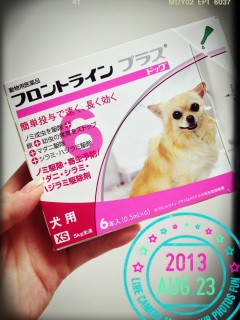 �ꃖ���B�B�B