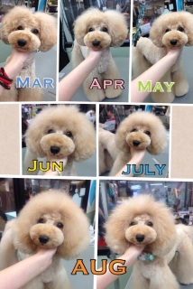 �J�b�g�X�^�C���՗���