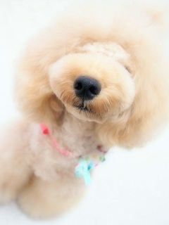 ���@♡