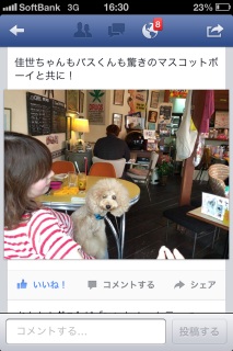 �A�t�^�k�[����@���e�q�d�`�j�f�r